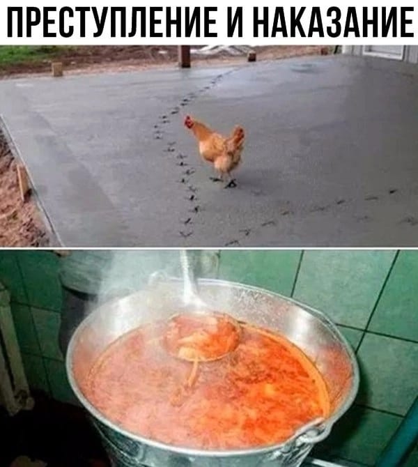 Анекдоты обо всем - Бодибилдинг форум AnabolicShops