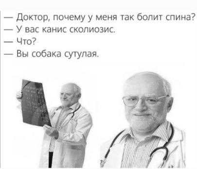 Анекдоты обо всем - Бодибилдинг форум AnabolicShops