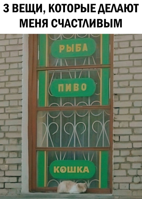 Анекдоты обо всем - Бодибилдинг форум AnabolicShops