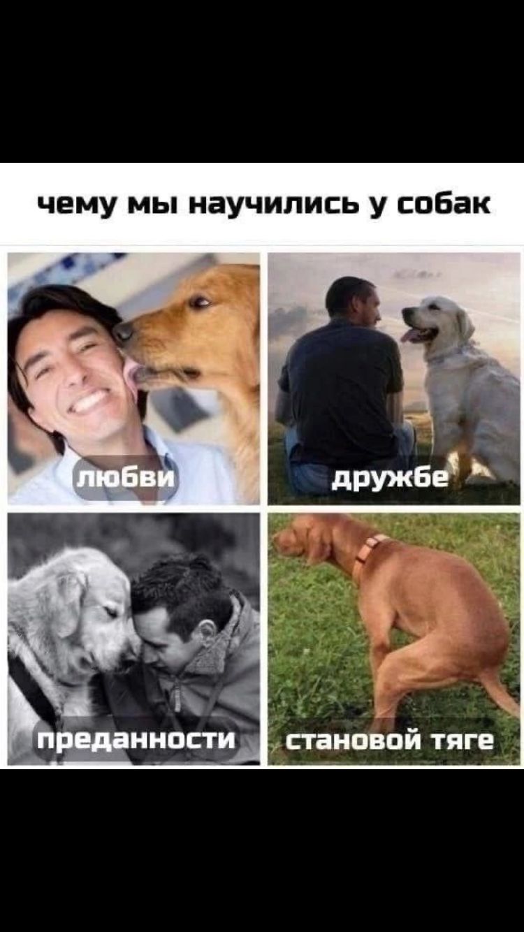 Анекдоты обо всем - Бодибилдинг форум AnabolicShops