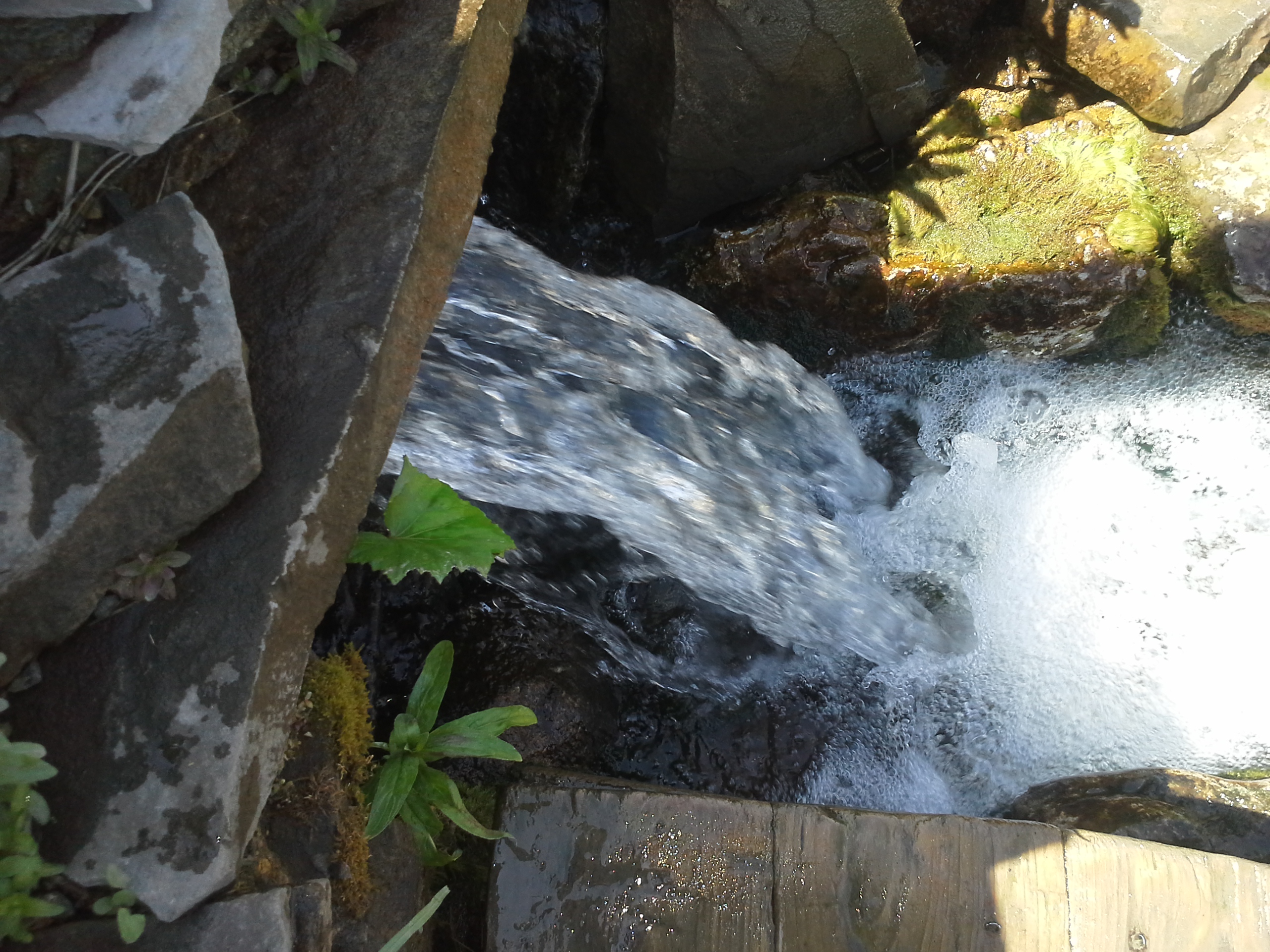 Hilma PRO - с заботой о вашем здоровье! - Бодибилдинг форум AnabolicShops