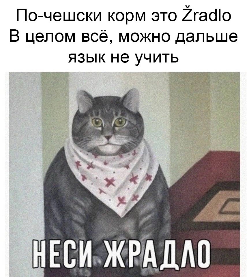 Анекдоты обо всем - Бодибилдинг форум AnabolicShops