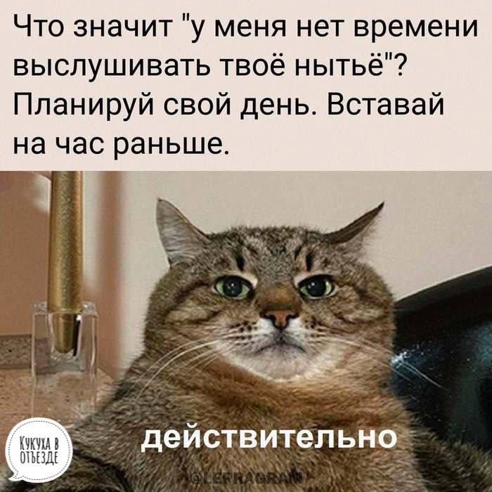 Анекдоты обо всем - Бодибилдинг форум AnabolicShops