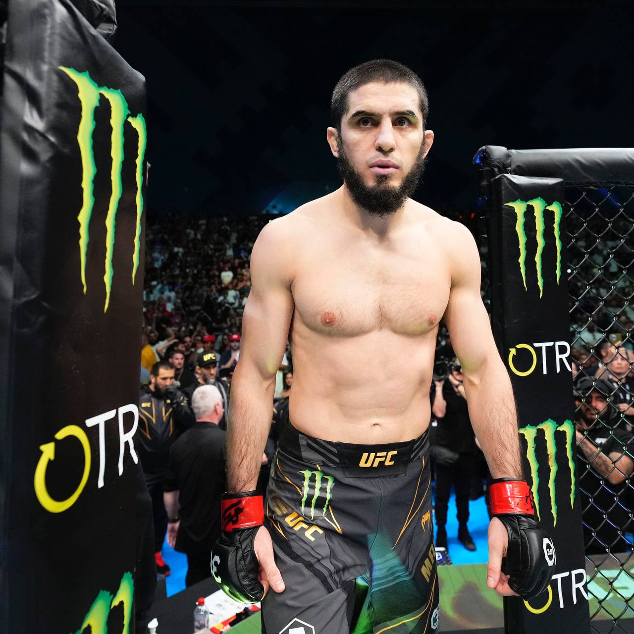 Новости из мира ММА и единоборств - Бодибилдинг форум AnabolicShops