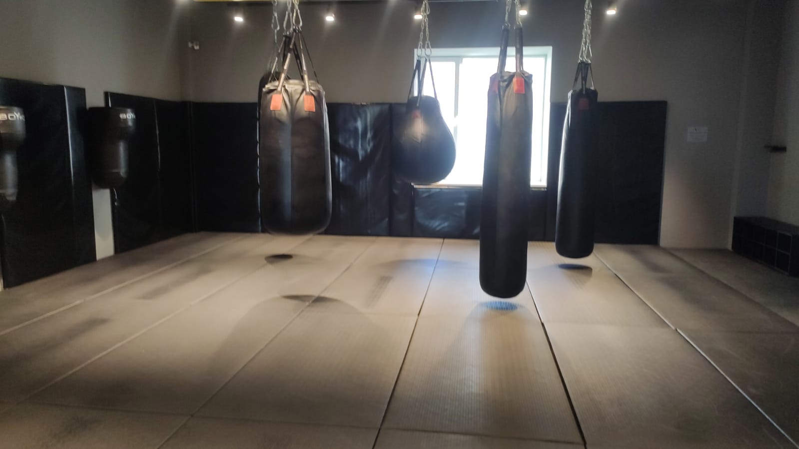 Hilma PRO - с заботой о вашем здоровье! - Бодибилдинг форум AnabolicShops