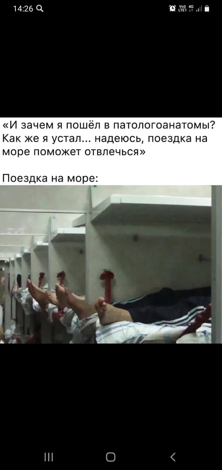 Анекдоты обо всем - Бодибилдинг форум AnabolicShops