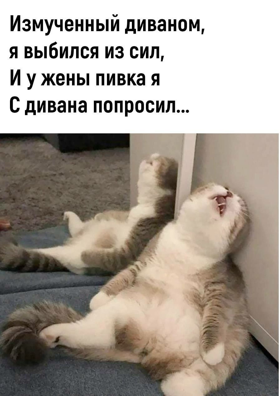 Анекдоты обо всем - Бодибилдинг форум AnabolicShops