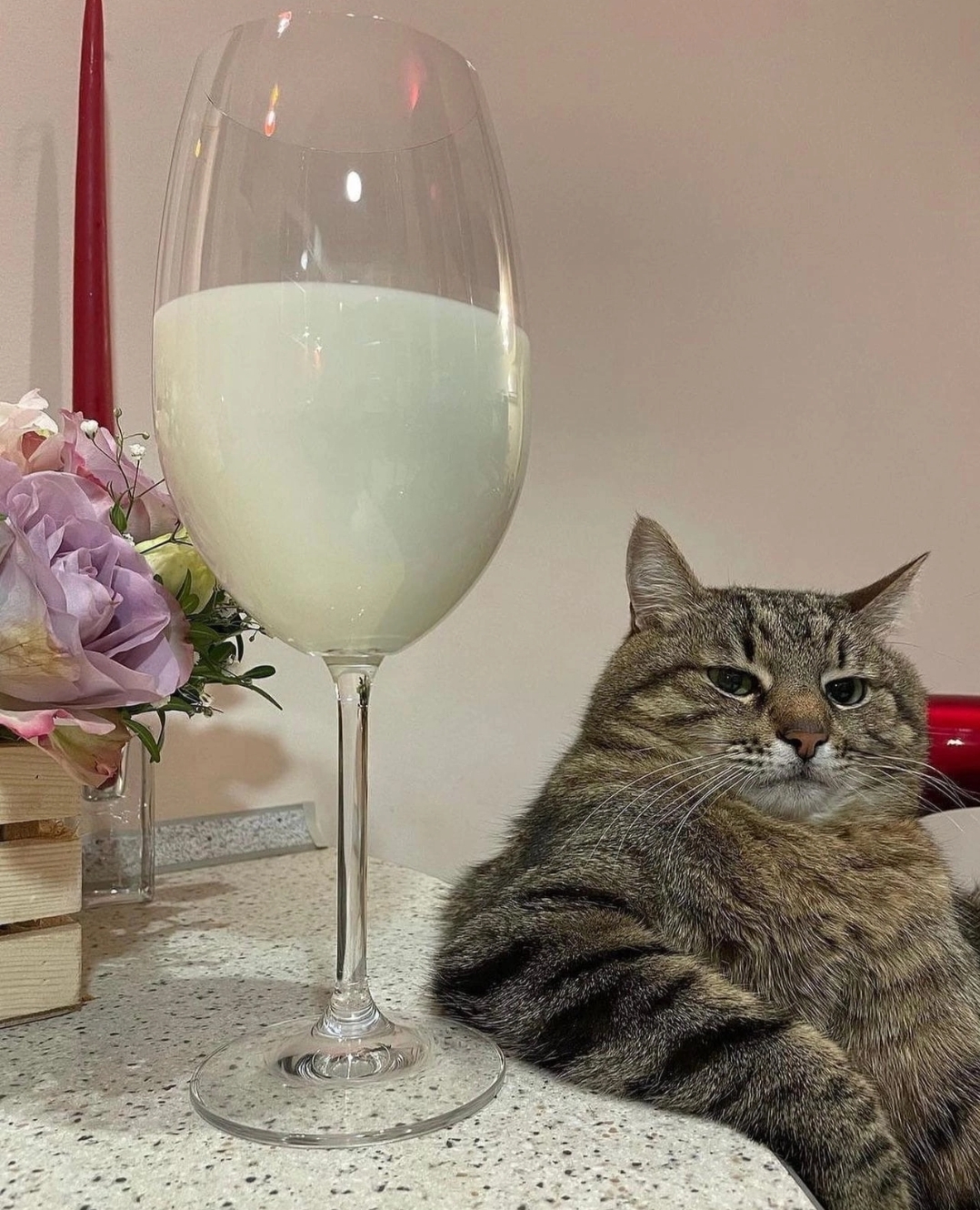 Hilma PRO - с заботой о вашем здоровье! - Бодибилдинг форум AnabolicShops