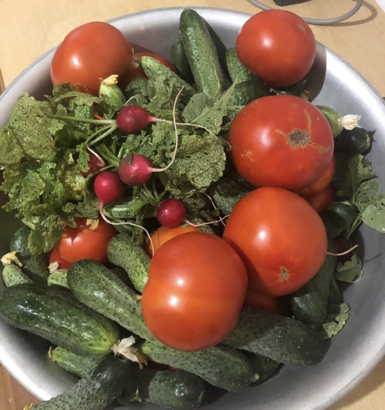 Hilma PRO - с заботой о вашем здоровье! - Бодибилдинг форум AnabolicShops