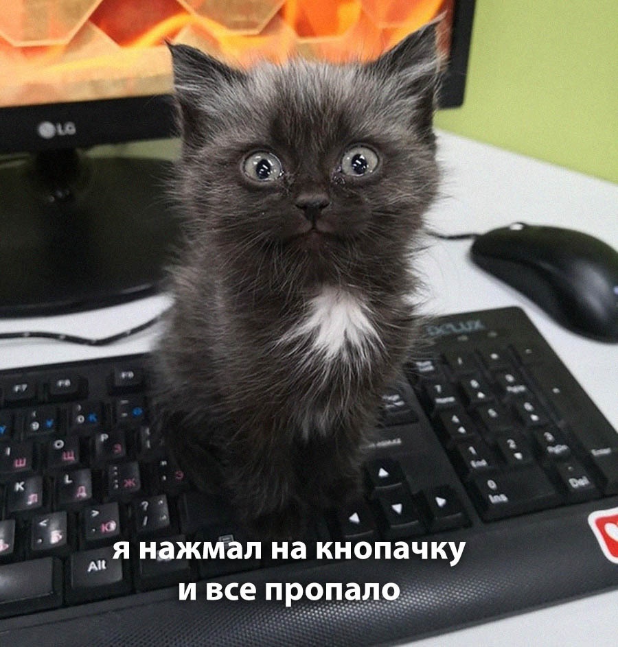 Курилка- разговоры на любые темы - Бодибилдинг форум AnabolicShops