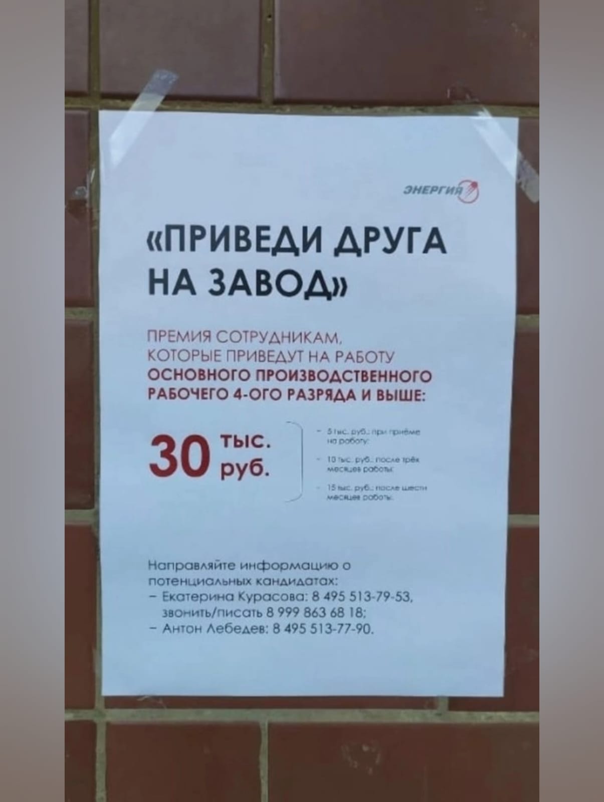 18-20 августа Питер! - Бодибилдинг форум AnabolicShops