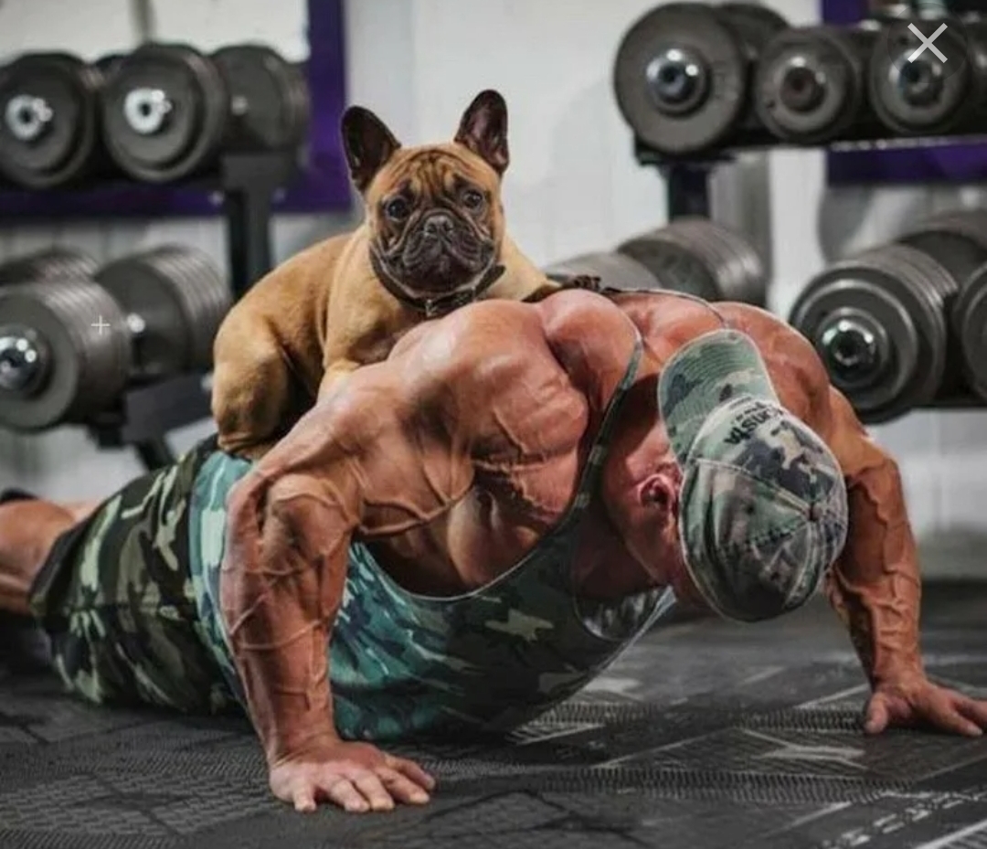 Анекдоты обо всем - Бодибилдинг форум AnabolicShops