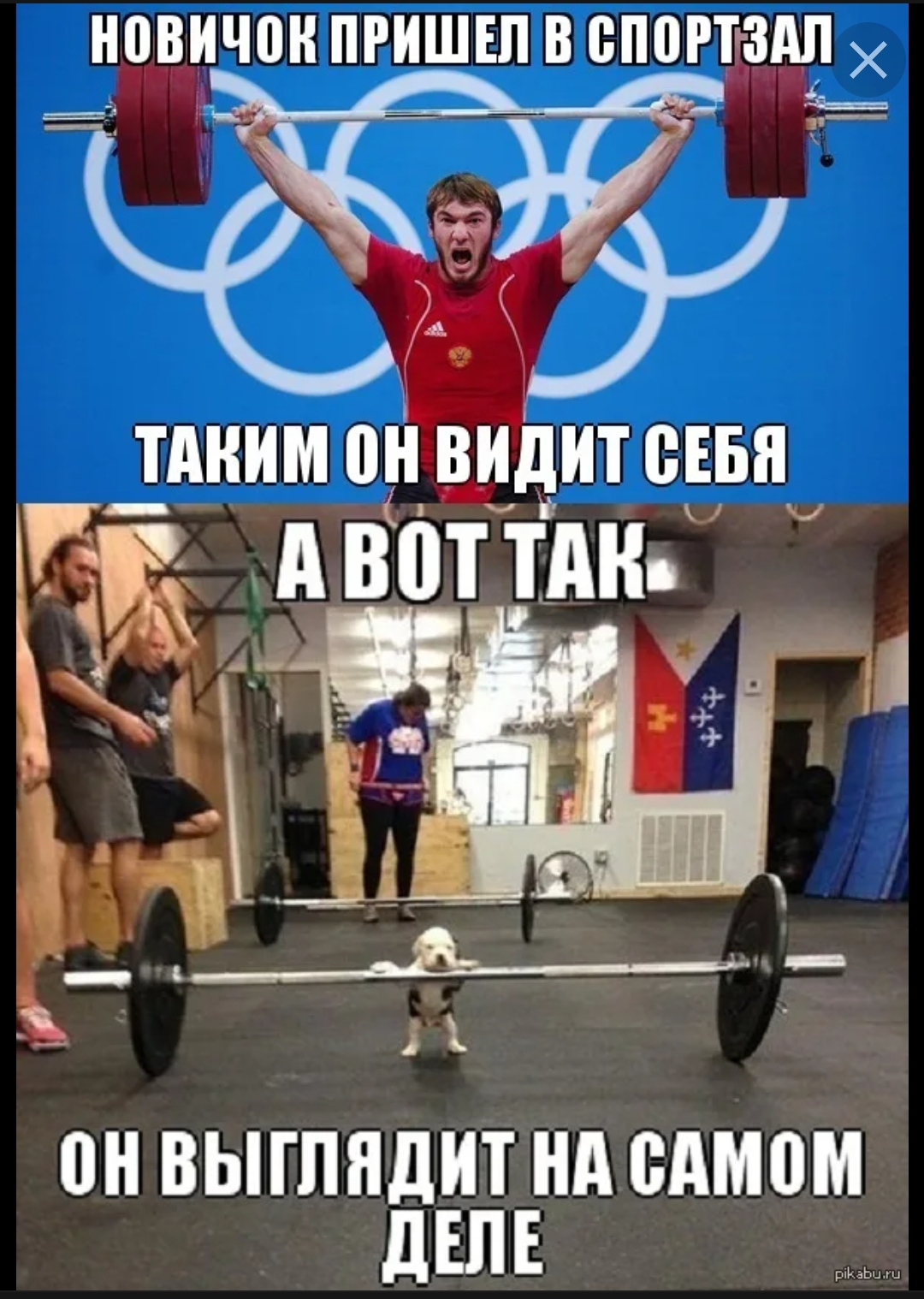 Анекдоты обо всем - Бодибилдинг форум AnabolicShops