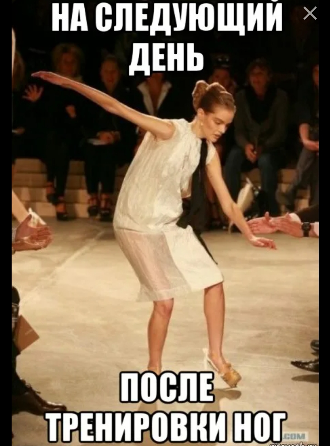 Анекдоты обо всем - Бодибилдинг форум AnabolicShops