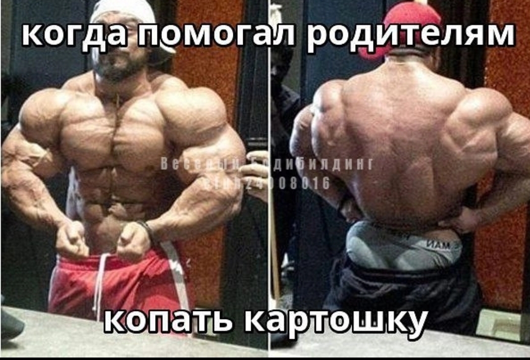 Анекдоты обо всем - Бодибилдинг форум AnabolicShops