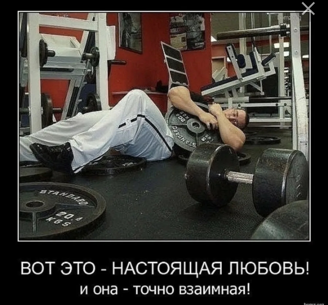 Анекдоты обо всем - Бодибилдинг форум AnabolicShops