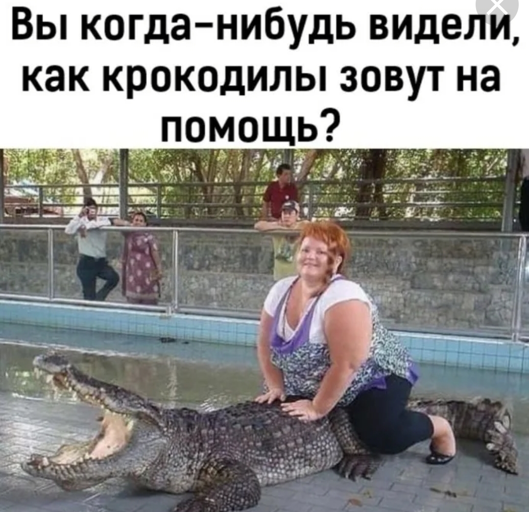 Анекдоты обо всем - Бодибилдинг форум AnabolicShops