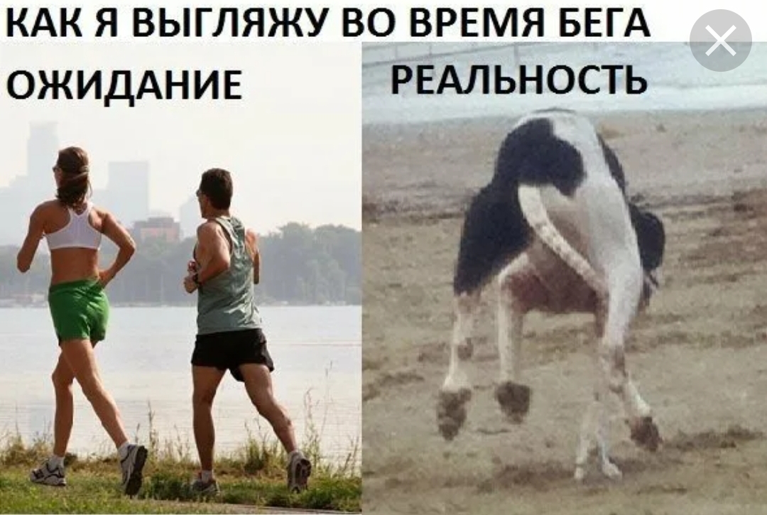 Анекдоты обо всем - Бодибилдинг форум AnabolicShops