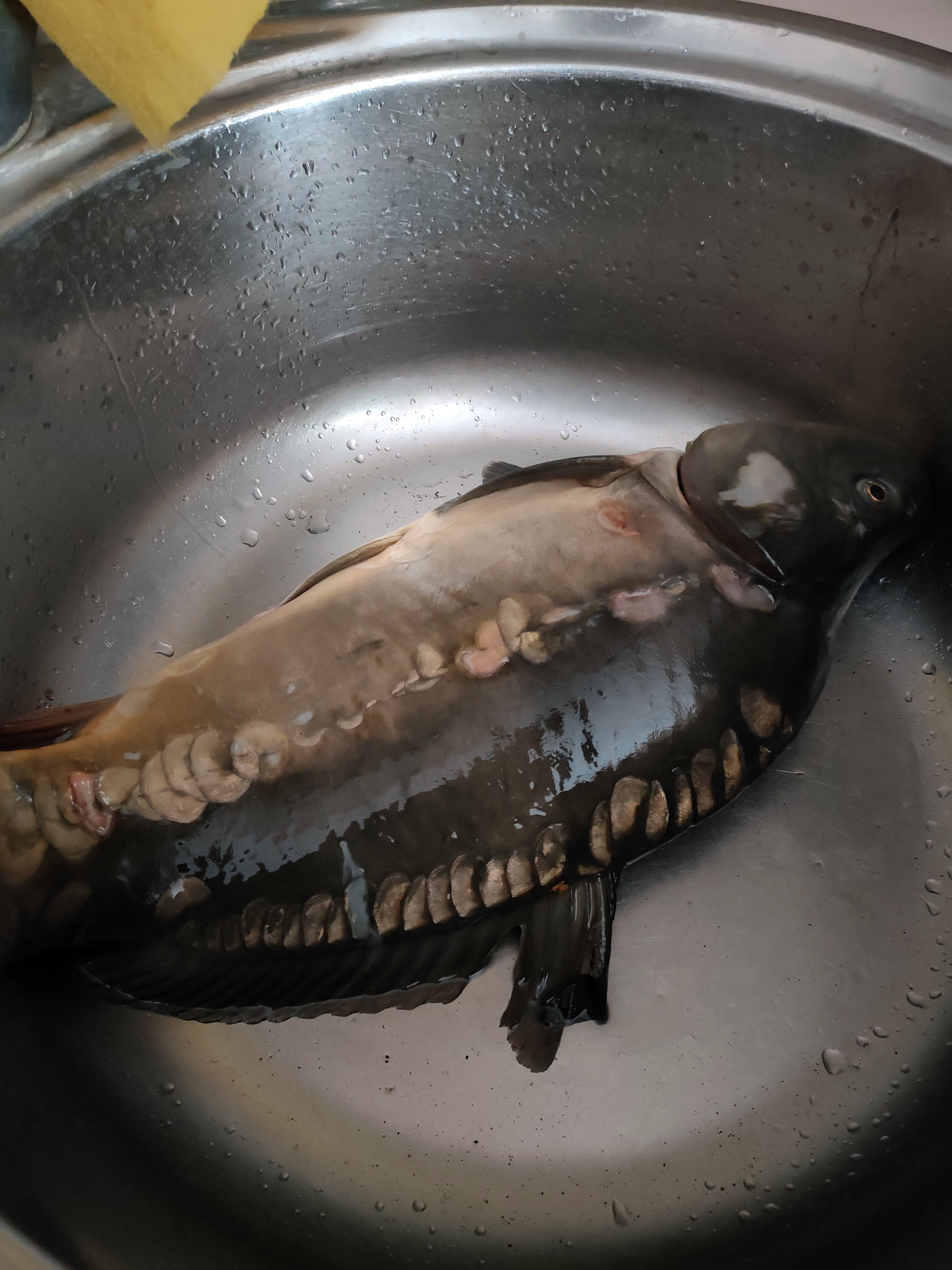 Курилка- разговоры на любые темы - Бодибилдинг форум AnabolicShops