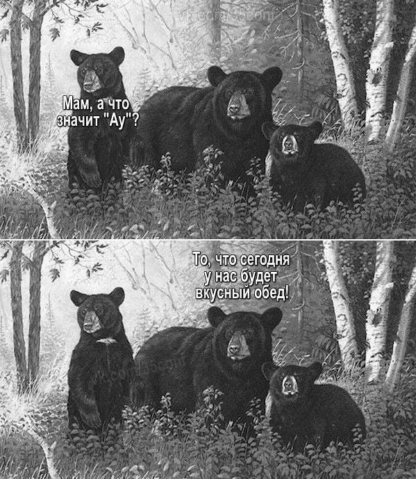 Анекдоты обо всем - Бодибилдинг форум AnabolicShops