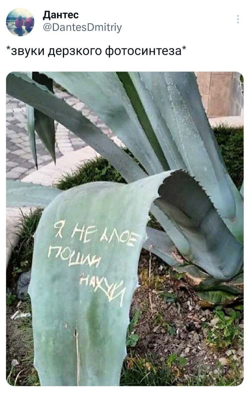 Анекдоты обо всем - Бодибилдинг форум AnabolicShops