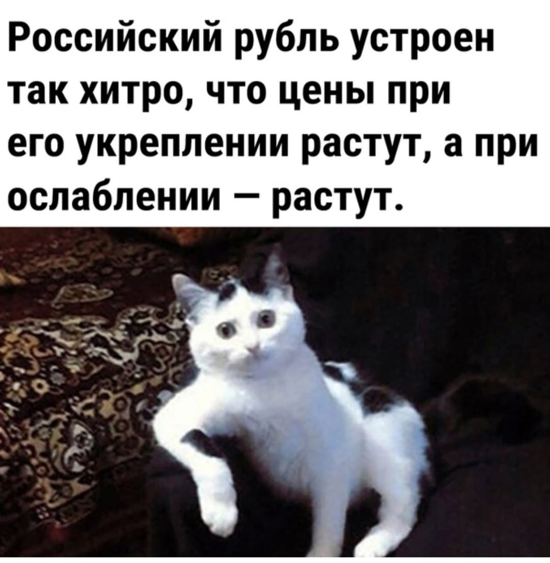 Анекдоты обо всем - Бодибилдинг форум AnabolicShops