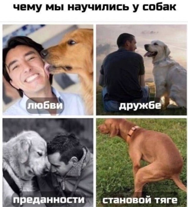 Курилка- разговоры на любые темы - Бодибилдинг форум AnabolicShops