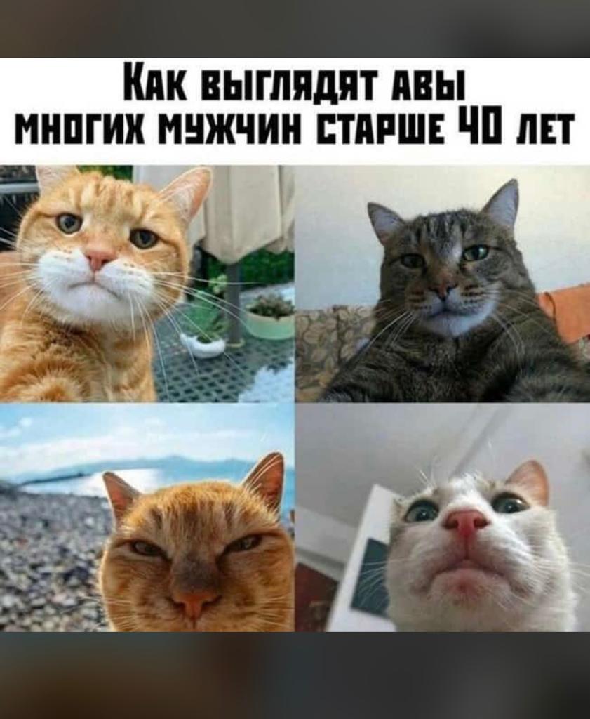 Курилка- разговоры на любые темы - Бодибилдинг форум AnabolicShops