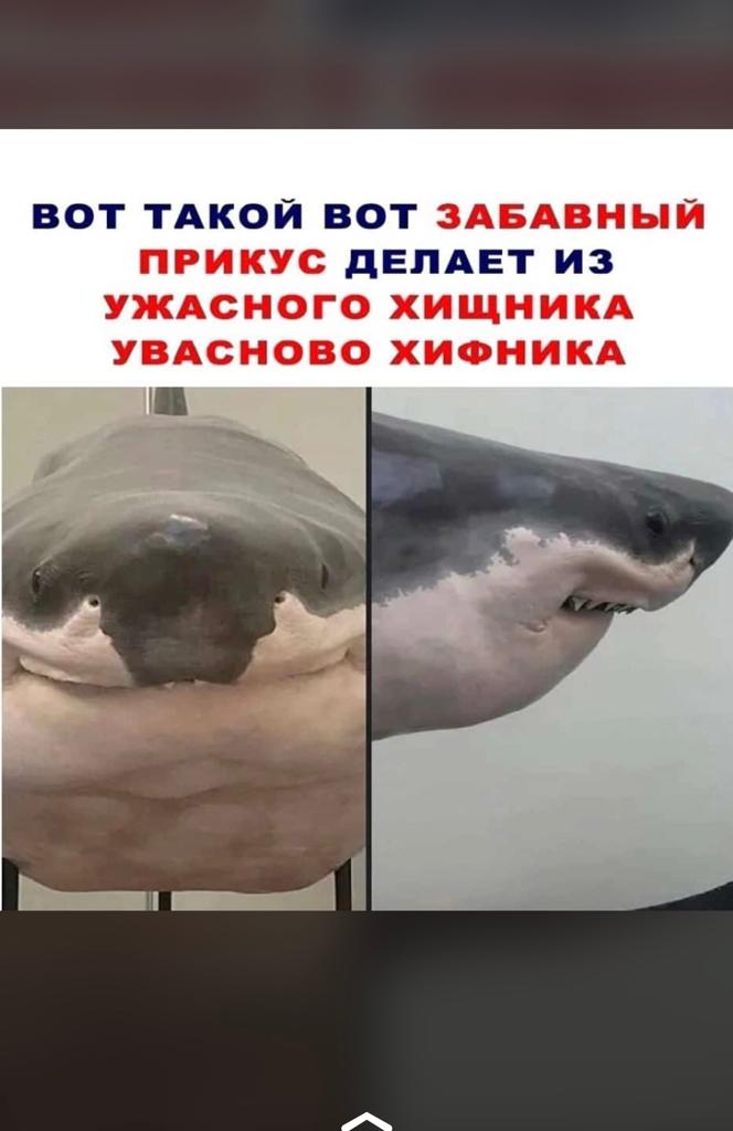 Анекдоты обо всем - Бодибилдинг форум AnabolicShops