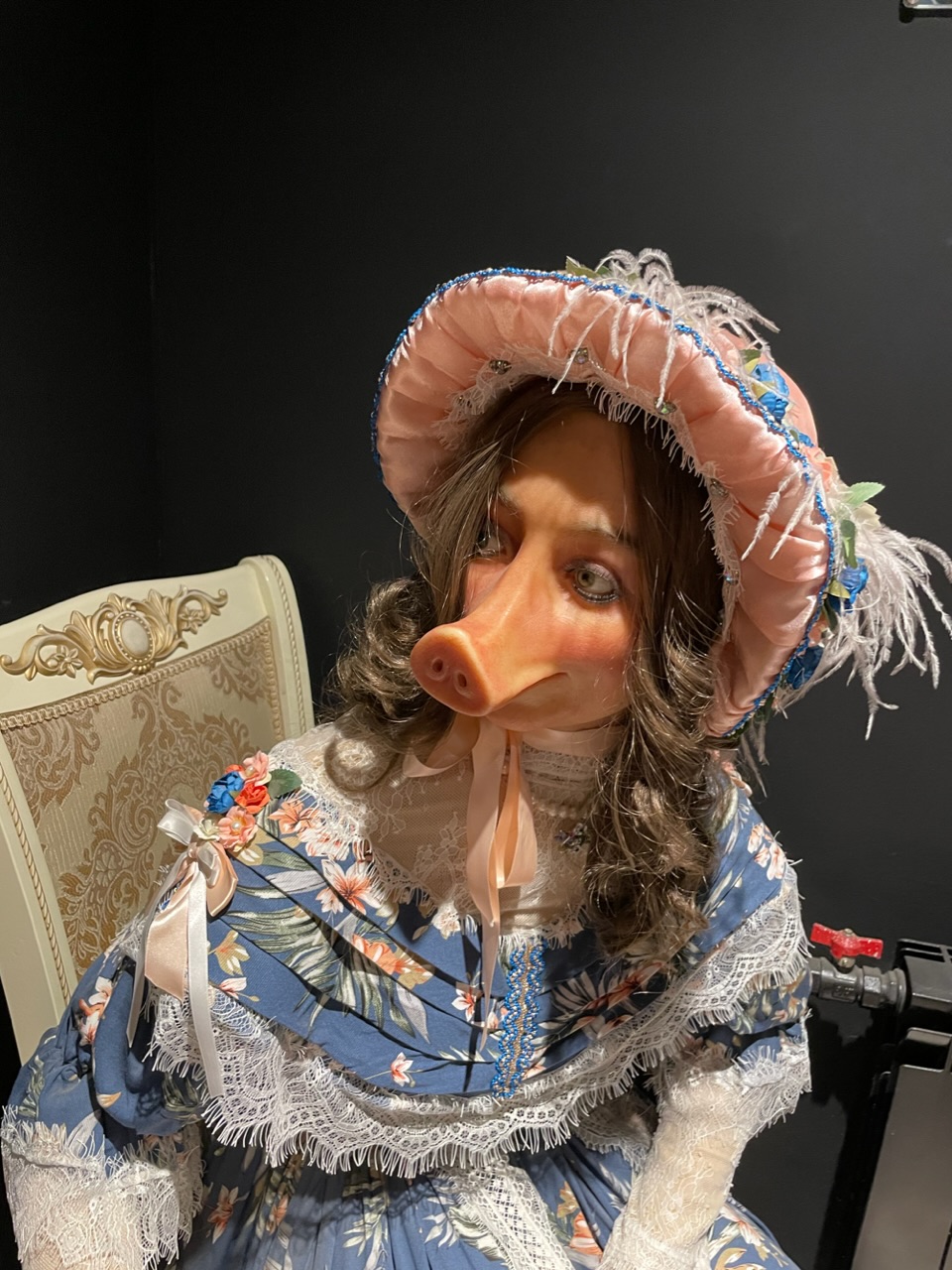 18-20 августа Питер! - Бодибилдинг форум AnabolicShops