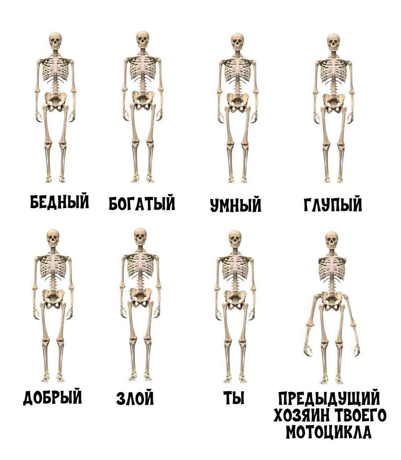 Курилка- разговоры на любые темы - Бодибилдинг форум AnabolicShops