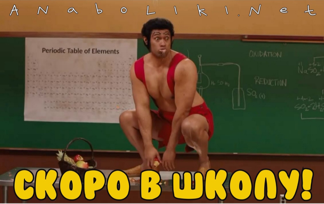 АНАБОЛИКИ.net - оф.дилер SP, Zerox, Genetic, Magnus, Lyka ! - Бодибилдинг форум AnabolicShops