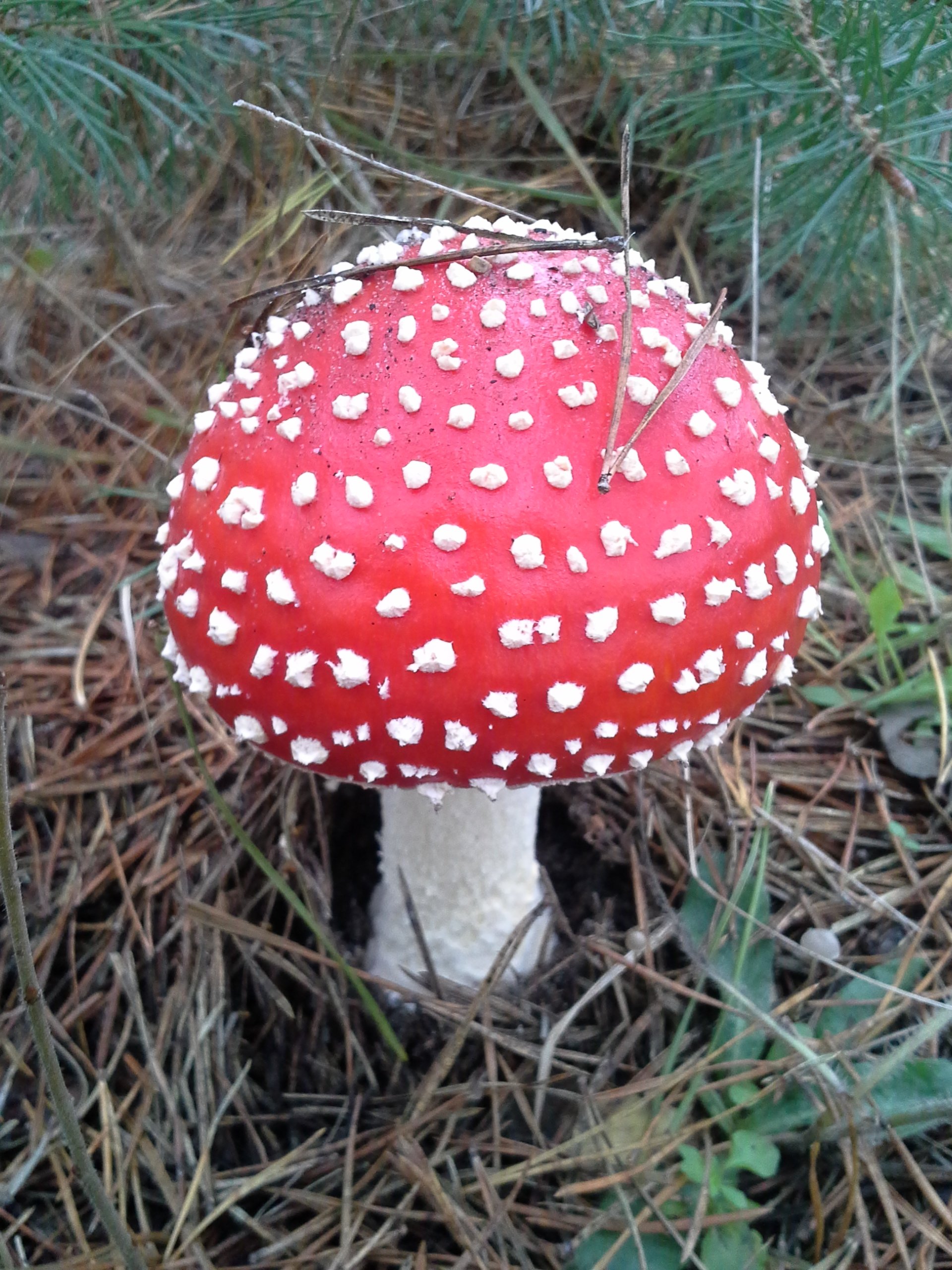 Курилка- разговоры на любые темы - Бодибилдинг форум AnabolicShops