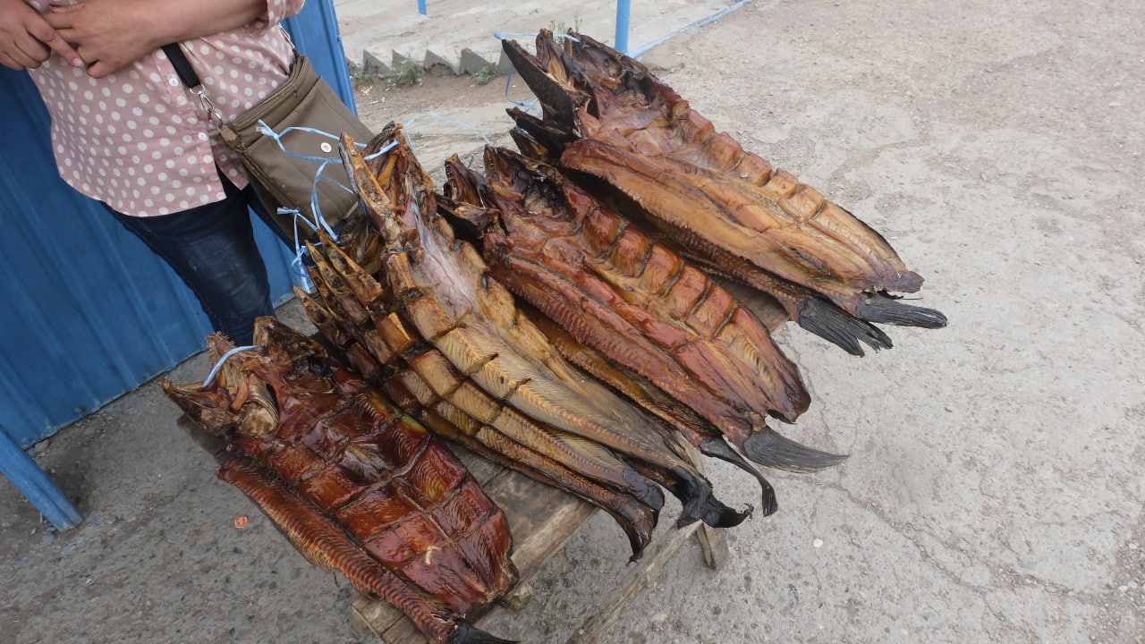 Курилка- разговоры на любые темы - Бодибилдинг форум AnabolicShops