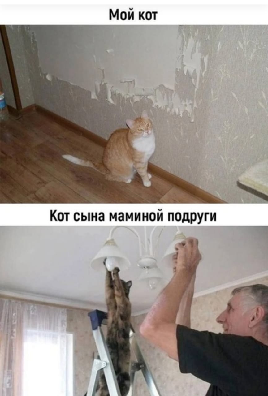 Анекдоты обо всем - Бодибилдинг форум AnabolicShops