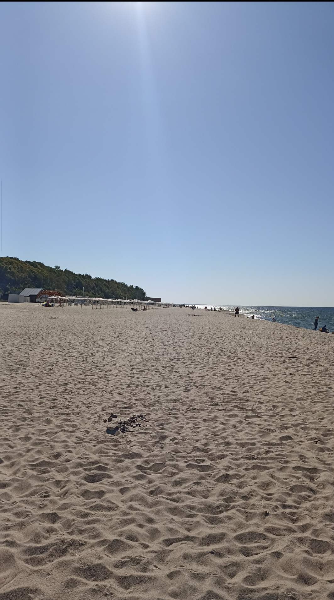 АНАБОЛИКИ.net - оф.дилер SP, Zerox, Genetic, Magnus, Lyka ! - Бодибилдинг форум AnabolicShops