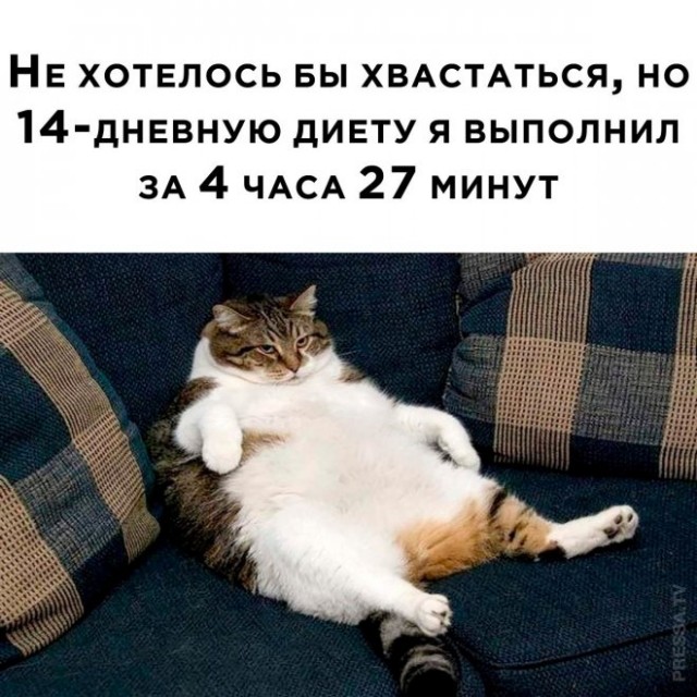 Курилка- разговоры на любые темы - Бодибилдинг форум AnabolicShops