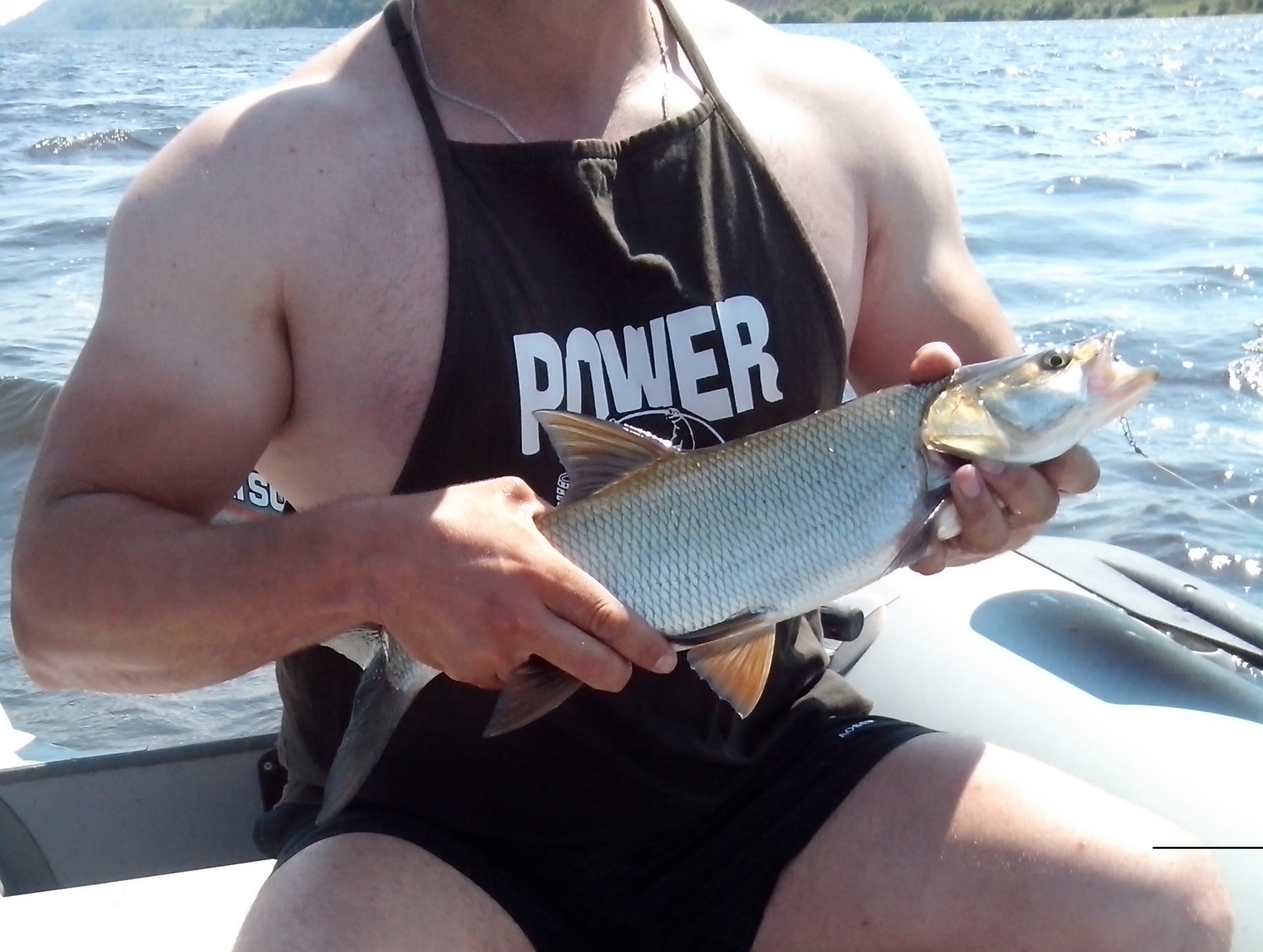 Thomas&Co - Медицинское качество. - Бодибилдинг форум AnabolicShops