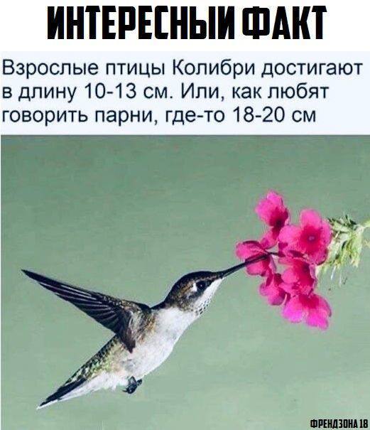 Анекдоты обо всем - Бодибилдинг форум AnabolicShops