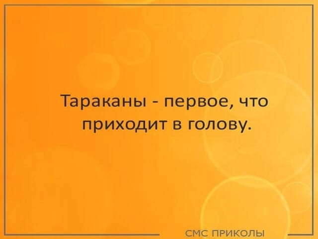 Курилка- разговоры на любые темы - Бодибилдинг форум AnabolicShops