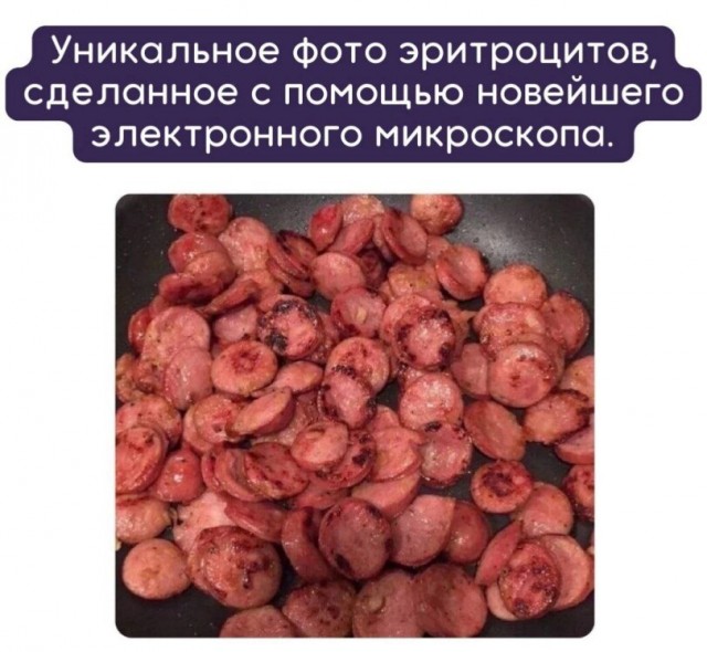 Курилка- разговоры на любые темы - Бодибилдинг форум AnabolicShops