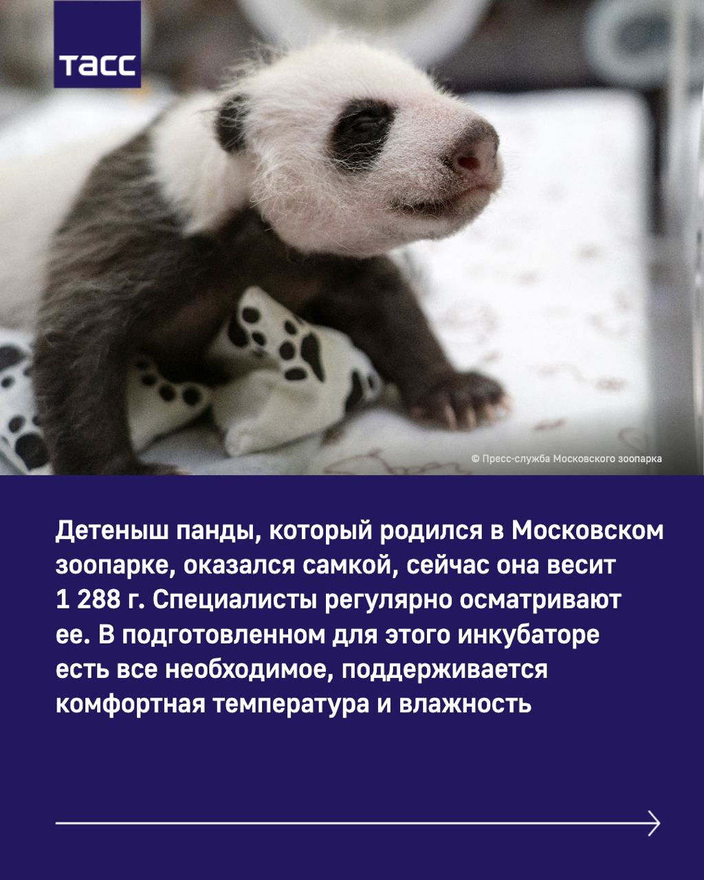 Hilma PRO - с заботой о вашем здоровье! - Бодибилдинг форум AnabolicShops