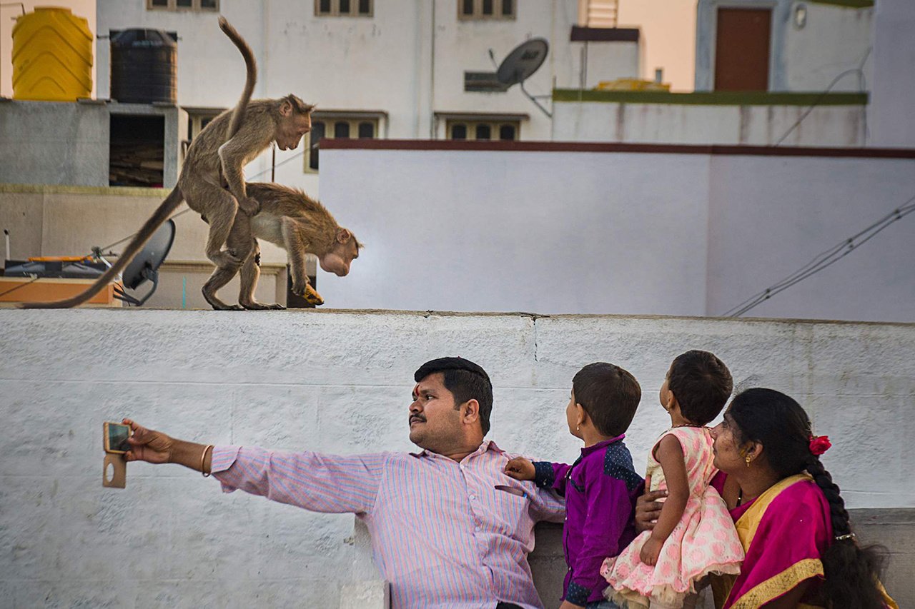 Hilma PRO - с заботой о вашем здоровье! - Бодибилдинг форум AnabolicShops