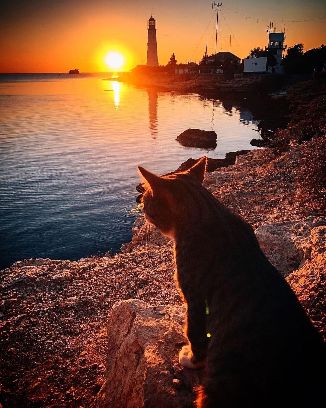 АНАБОЛИКИ.net - оф.дилер SP, Zerox, Genetic, Magnus, Lyka ! - Бодибилдинг форум AnabolicShops