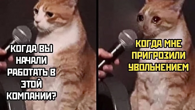 Анекдоты обо всем - Бодибилдинг форум AnabolicShops