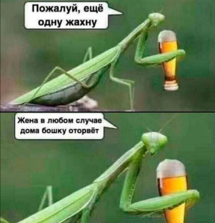 Курилка- разговоры на любые темы - Бодибилдинг форум AnabolicShops