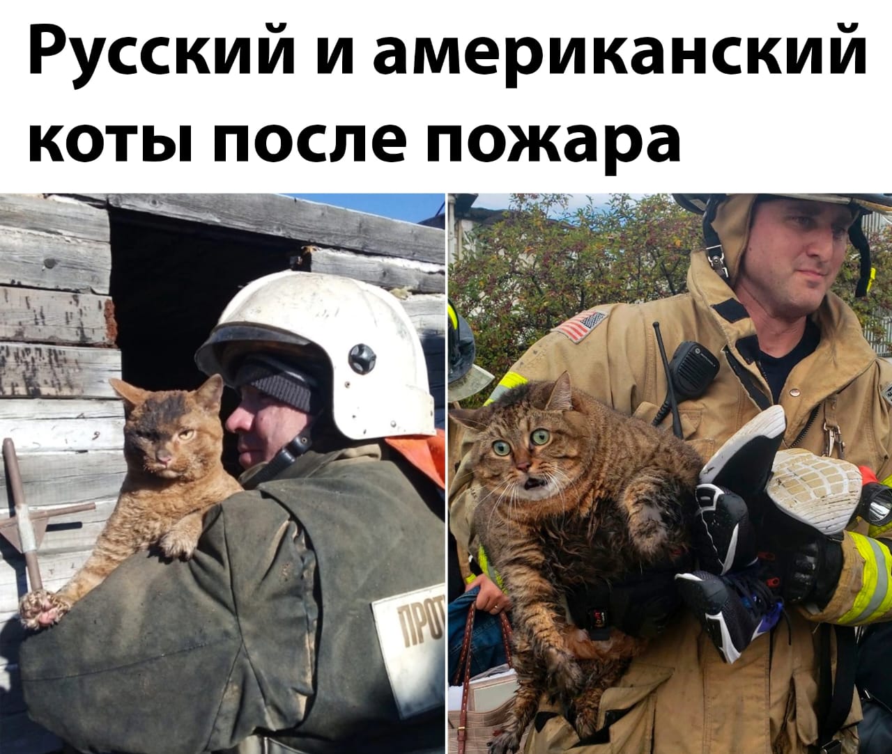 Анекдоты обо всем - Бодибилдинг форум AnabolicShops