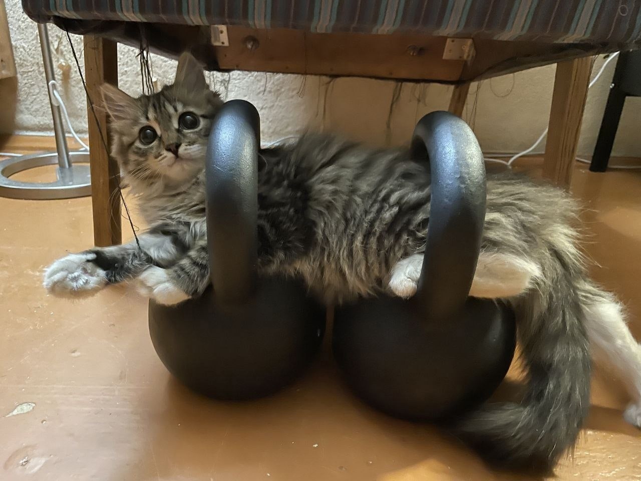 Курилка- разговоры на любые темы - Бодибилдинг форум AnabolicShops