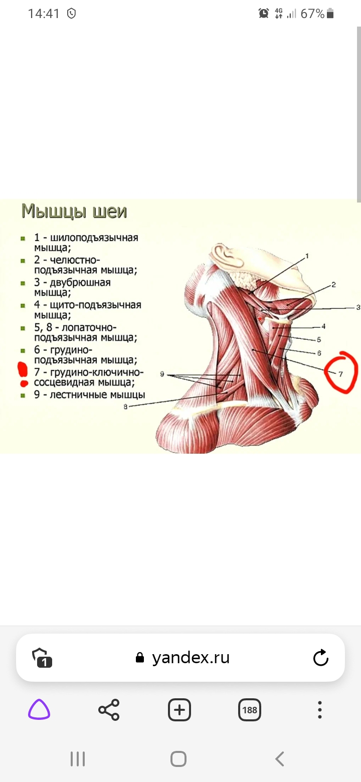 Hilma PRO - с заботой о вашем здоровье! - Бодибилдинг форум AnabolicShops