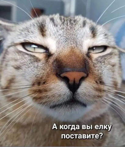 Курилка- разговоры на любые темы - Бодибилдинг форум AnabolicShops